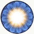 EOS Daisy 3 Tone Sapphire Blue