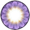 EOS Daisy 3 Tone Violet